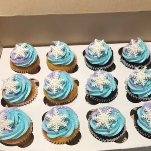 frozen theme cupcakes