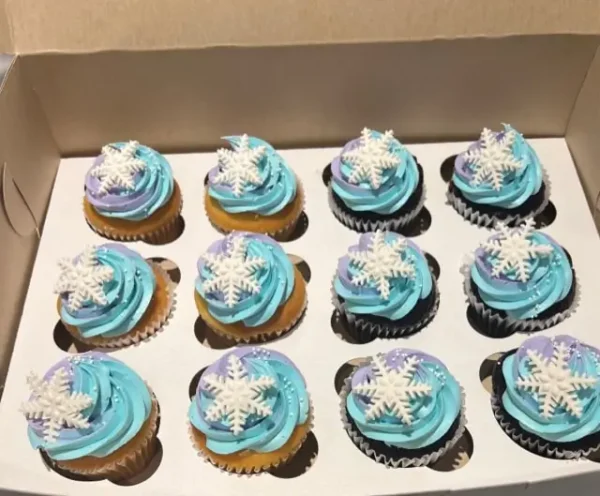 frozen theme cupcakes